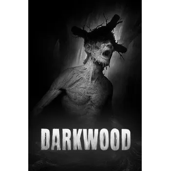 Počítačová hra Darkwood PC