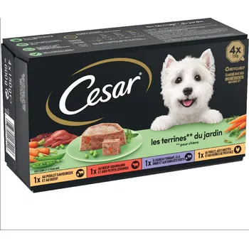Krmivo pro psa 4x150g Cesar Classic Selection míchané balení - Garden-Terrine
