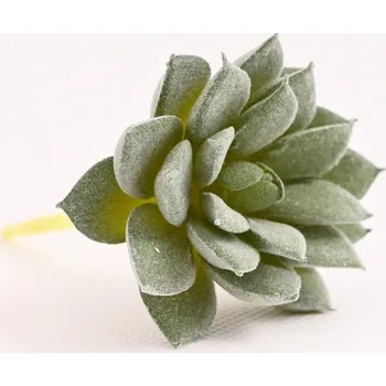 Příslušenství pro sportovní střelbu Echeveria 9 x 7 cm, zelená