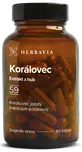 Herbavia Korálovec ježatý 600 mg 60 cps.