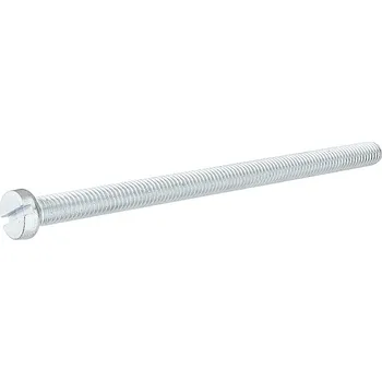 Šroub Šroub M6x100