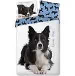 FARO Bavlněné povlečení - Border kolie - 140 x 200 cm + 70 x 90 cm - Faro