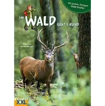 Příroda Im Wald geht's rund - mit großem, farbigem Poster
