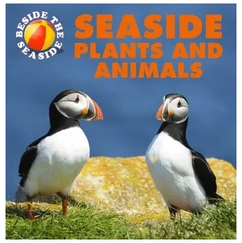 Cestování Beside the Seaside: Seaside Plants and Animals - Hibbert Clare