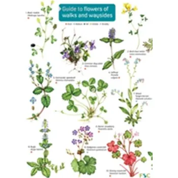 Guide to flowers of walks and waysides - Farley-Brown, Rebecca