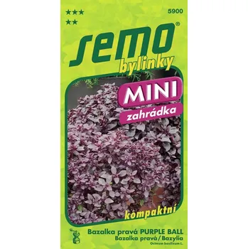 Semeno Bazalka pravá - Purple Ball 20s. - série MINI