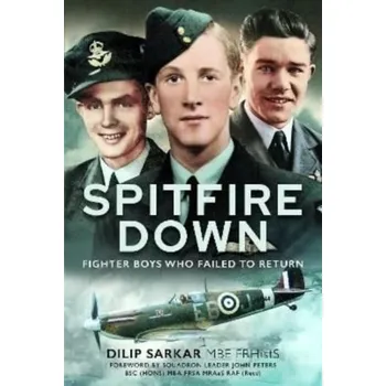 Spitfire Down - Sarkar, Dilip