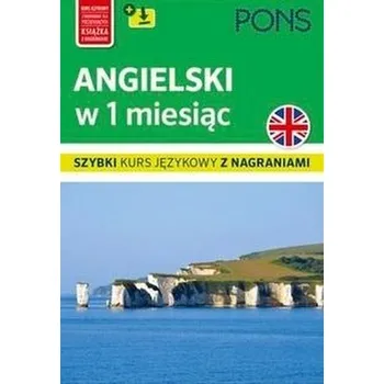 Cizí jazyk Angielski w 1 miesiąc - praca zbiorowa