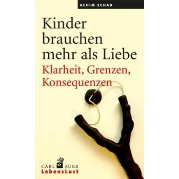 Kinder brauchen mehr als Liebe - Schad, Achim