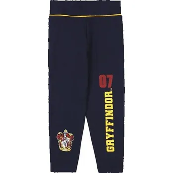 LEGÍNY HARRY POTTER - velikost 8