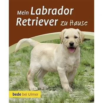Mein Labrador Retriever zu Hause - Harms, Maike