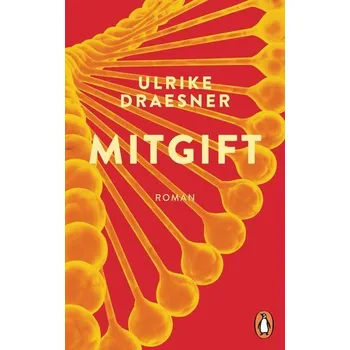 Mitgift - Draesner, Ulrike