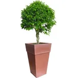 BAMA Květináč SENSATIONE 50cm BR