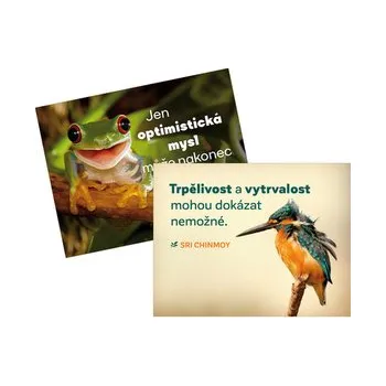 Dekorativní magnet magnety na lednici Trpělivost + Jen optimistická - Chinmoy Sri
