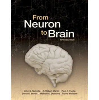 From Neuron to Brain - Nicholls John G. a kolektiv