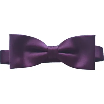 Motýlek Motýlek Carlo Cardini Modern s kapesníčkem - švestkový