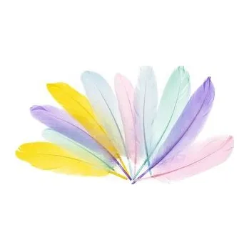 Set školních potřeb Piórka gęsie 15-20cm pastelowe