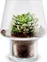 Váza Eva Solo Succulent 568187 15 cm