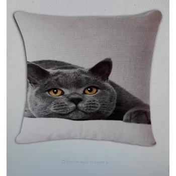 Polštář Polštář_britka