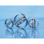 2310-2RS ZVL Naklápěcí kuličkové ložisko