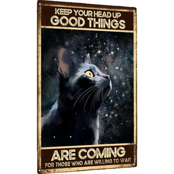 Plechová cedule Plechová cedule nejen na zeď c.21