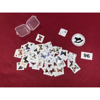 Pexeso HandMade by VeJa Mini pexeso vel.S č.96 - Druhy motýlů (64kousků)