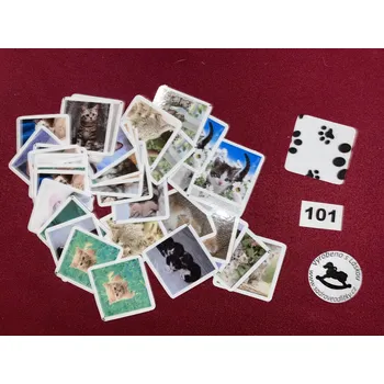 Pexeso HandMade by VeJa Pexeso vel.L č.101 - Koťata (36kousků)