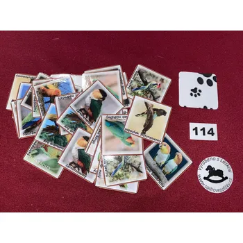 Karetní hra HandMade by VeJa Pexeso vel.L č.114 - Papoušci (36kousků)