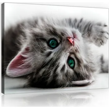 Obraz Postershop Obraz na plátne: Kocka - 75x100 cm