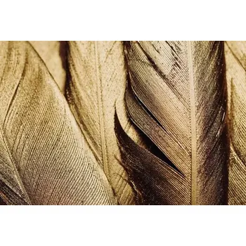 Plakát Plakát, Obraz - Close-up of Gold Leaf Feathers, Adrienne Bresnahan