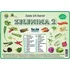 výuková tabulka Kupka nakladatelství Sada 24 karet A7 zelenina 2
