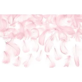Svatební dekorace Dekorační peříčka růžová 3 g