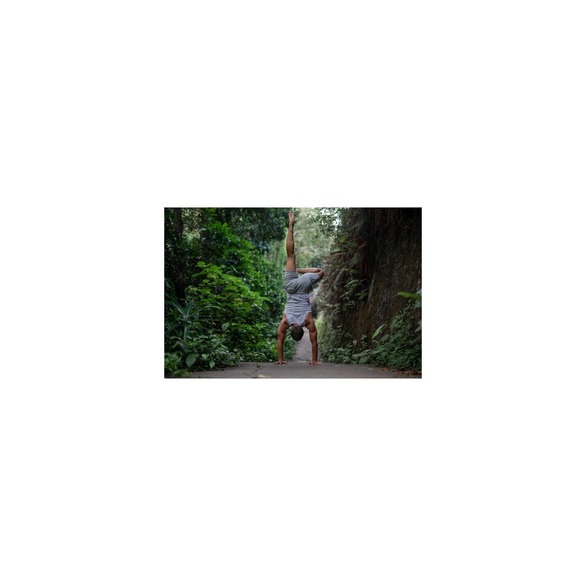 Fotografie 5 - Anabolizér Vitalvibe Tribulus Xtreme Bulgarian 90 cps.