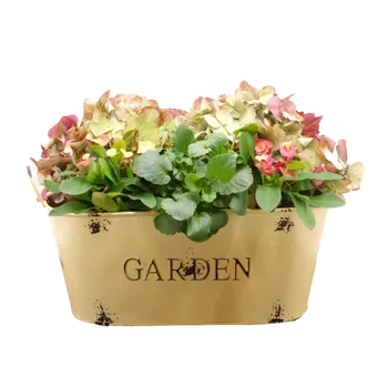 Dóza na potraviny Plechová nádoba oválná, žlutá barva