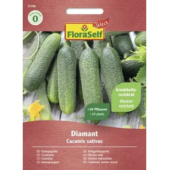 Semeno Okurka nakládačka Diamant FloraSelf Select F1 hybrid