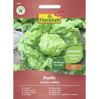 Semeno Ledový salát Danilo FloraSelf Select