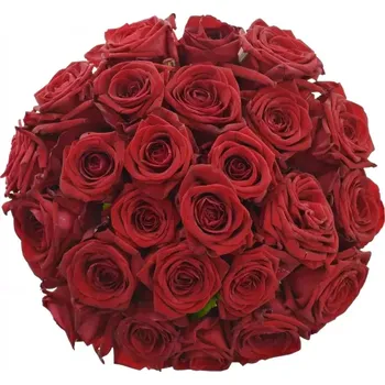 umělá květina Kytice 25 červených růží RED NAOMI! 90 cm Červená