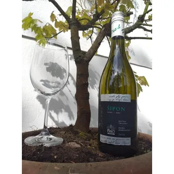 Víno Šipon 2018 (bílé suché víno)