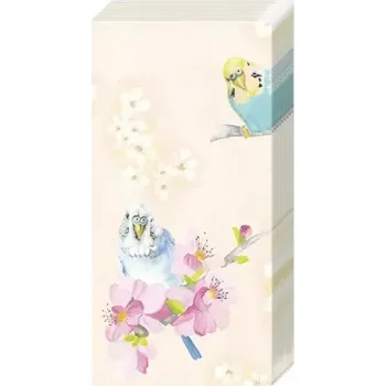 Kapesníčky Andulky (Kapesníky papoušci)