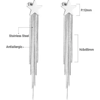 Náušnice Visací náušnice z nerezové oceli - 291S