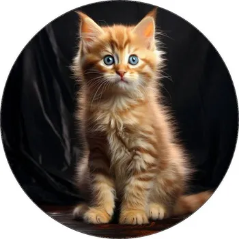 Jedlá dekorace na dort Jedlý papír kotě s modrýma očima 19,5cm