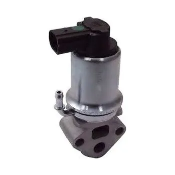 Ventil palivového systému AGR-Ventil MAGNETI MARELLI EV014