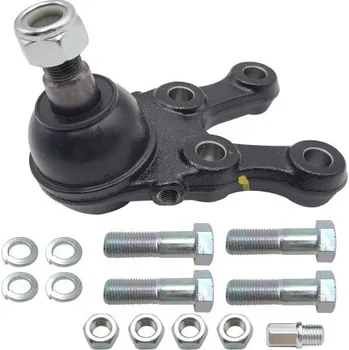 ¬ep ramena spodnˇ L