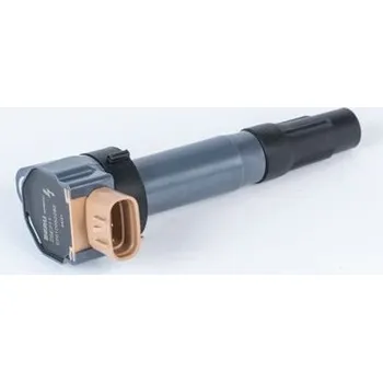 Zapalovací cívka Zapalovací cívka BorgWarner (BERU) ZSE211