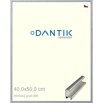 Rám na obraz DANTIK rámeček 40x50 | ALU profil 7269 Sstříbrná broušená (Sklo Čiré) (Vyrobeno s láskou u nás v DANTIKU)