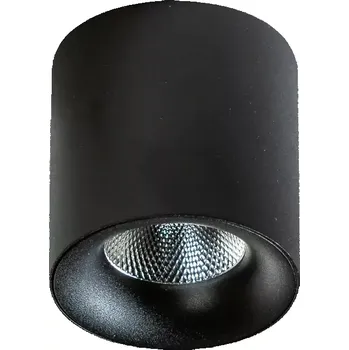 Bodové svítidlo LED bodové světlo Mane 10W 4000K černé