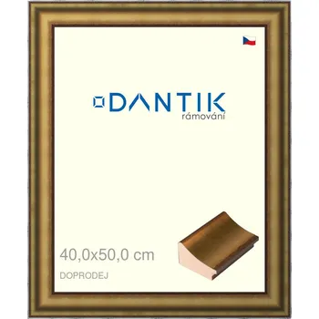 Rám na obraz DANTIK rámeček 40x50 | Doprodej | METAL AU prohlá velká (Plexi Čiré) (Vyrobeno s láskou u nás v DANTIKU)