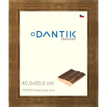 Rám na obraz DANTIK rámeček 40x50 | TRITON široký zlatý (Plexi Čiré) (Vyrobeno s láskou u nás v DANTIKU)