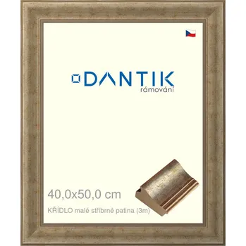 Rám na obraz DANTIK rámeček 40x50 | KŘÍDLO malé stříbrné patina (Sklo Čiré) (Vyrobeno s láskou u nás v DANTIKU)