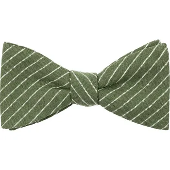 Motýlek Bubibubi Zelený motýlek s proužky